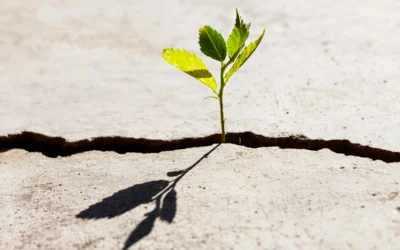 Rebuilding Confidence After Setbacks and Failure