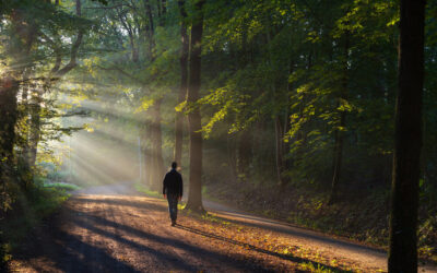 Embracing Change: How to Thrive Through Life’s Transitions